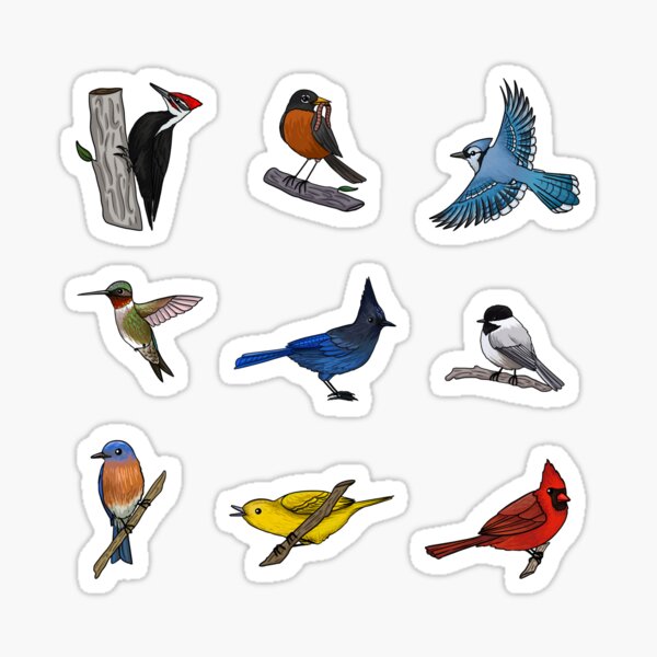 beautiful birds funny cute sweet bird stickers Sticker for Sale by Eden3