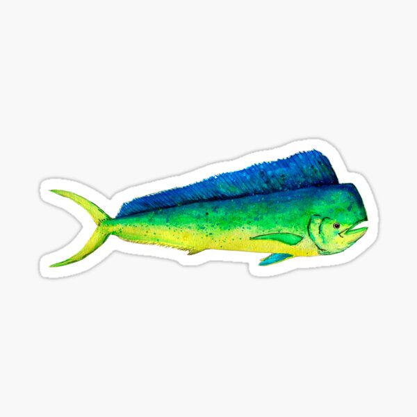mahi mahi big sticker transparent Sticker