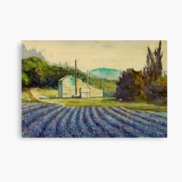 Lavender distillery near Sault and Aurel, Provence France Canvas Print