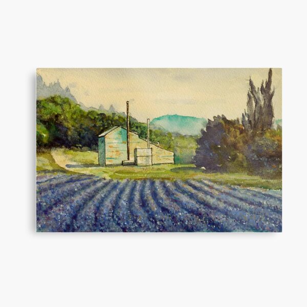 Lavender distillery near Sault and Aurel, Provence France Metal Print