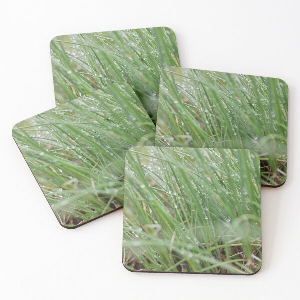 Item preview, Macro shot of Fescue Grass After Rain designed and sold by AmberCamera.