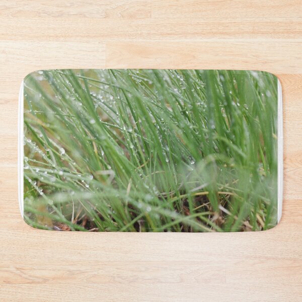Item preview, Macro shot of Fescue Grass After Rain designed and sold by AmberCamera.