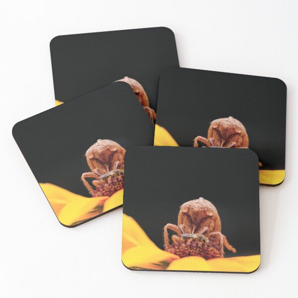 Item preview, Cicada Shell Left After Molt On A Sunflower designed and sold by AmberCamera.