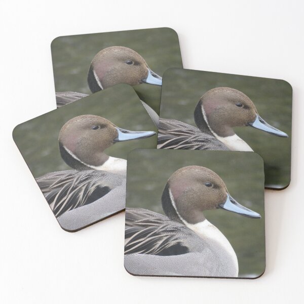 Item preview, Northern Pintail designed and sold by Monica-Stroud.
