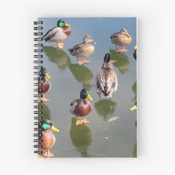 Item preview, Ducks on Ice designed and sold by Monica-Stroud.