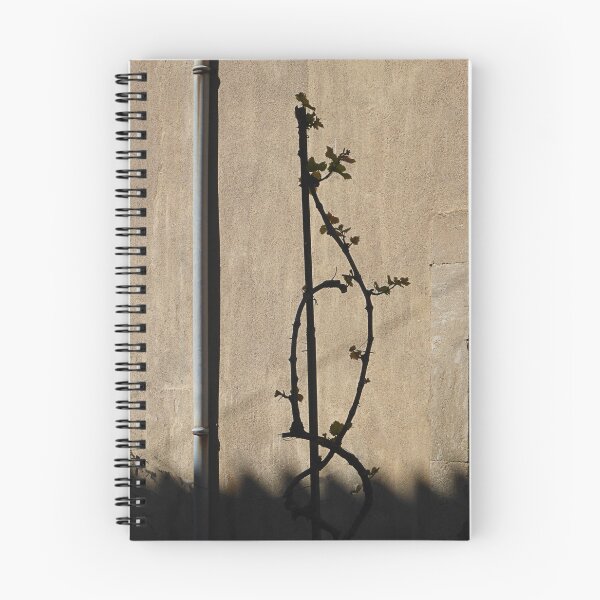 Item preview, No straight lines in nature. designed and sold by Paul Pasco.