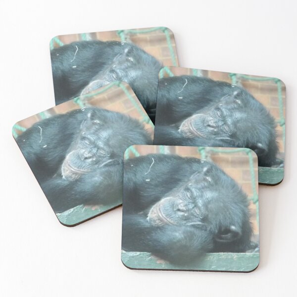 Item preview, Sleeping Chimp designed and sold by DiddyH.