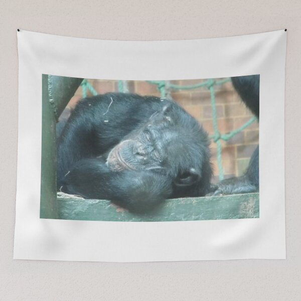 Item preview, Sleeping Chimp designed and sold by DiddyH.
