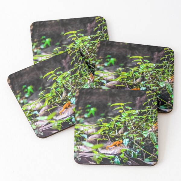 Item preview, Lone Frog designed and sold by DiddyH.