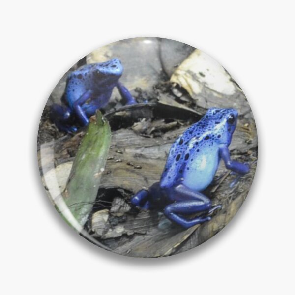 Item preview, A Frog Meeting designed and sold by DiddyH.