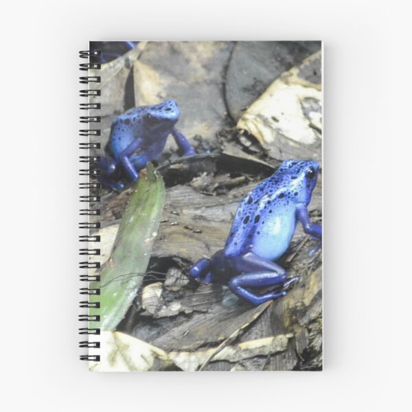 Item preview, A Frog Meeting designed and sold by DiddyH.