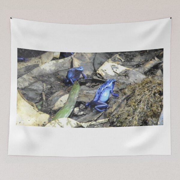 Item preview, A Frog Meeting designed and sold by DiddyH.