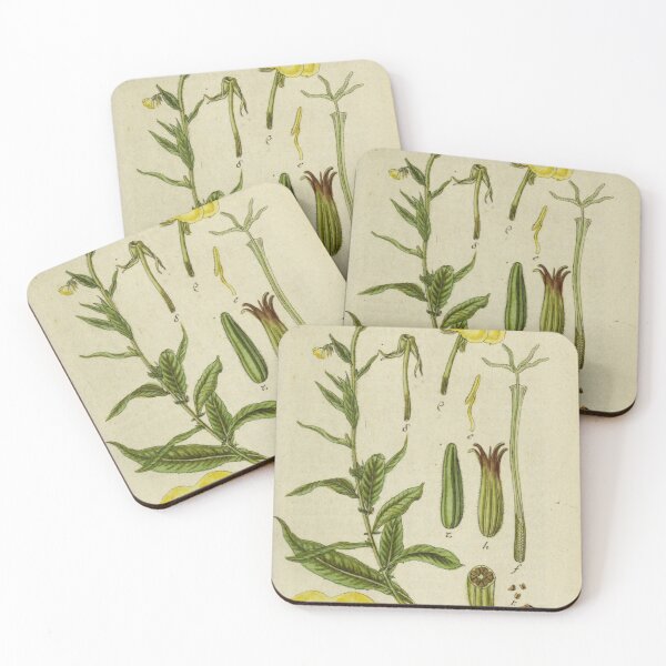 Item preview, vintage botanical designed and sold by Txxmstore.