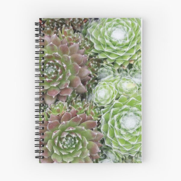 Item preview, Succulent 4 designed and sold by rualexa.