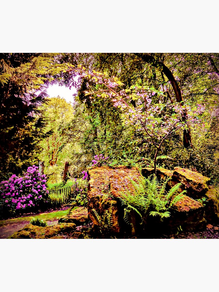 Essence of Nature by ScenicViewPics