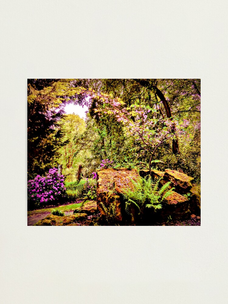 Alternate view of Essence of Nature Photographic Print