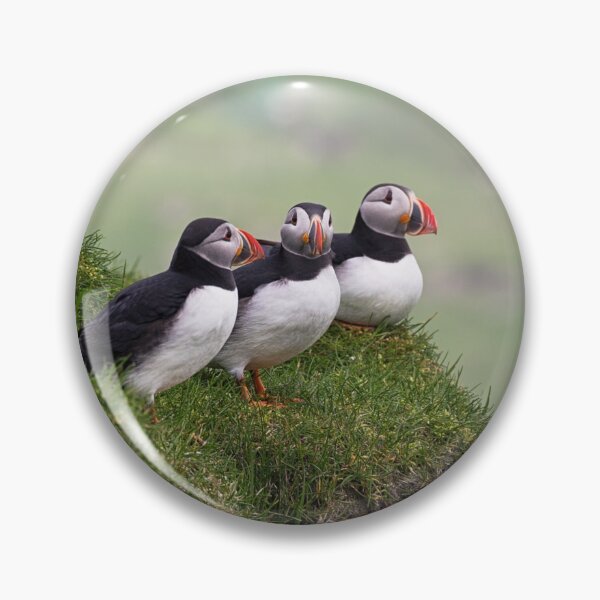 Item preview, Three Puffins designed and sold by cloud7.