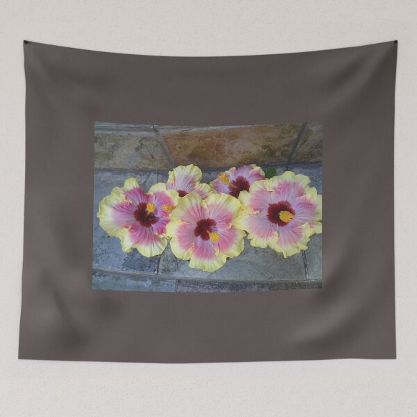 Item preview, Hibiscus Beauties designed and sold by jennyleeandjim.