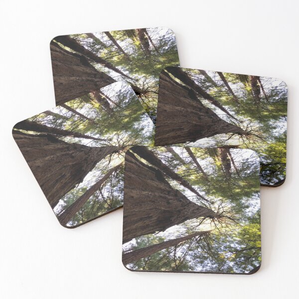 Item preview, Redwood Trees - John Muir Forest -  Sausalito designed and sold by sincerely-olive.