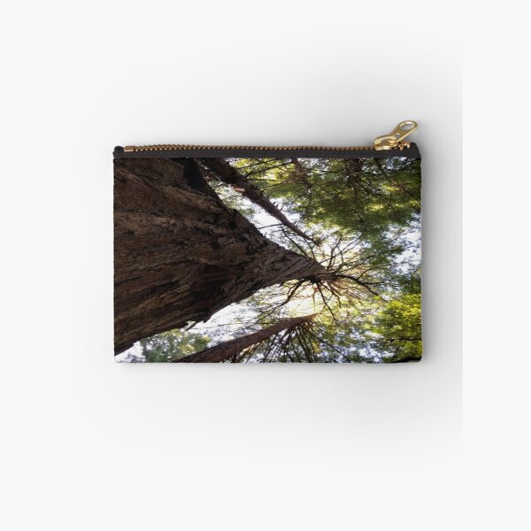 Artikelvorschau, Redwood-Bäume - John Muir Forest - Sausalito entworfen und verkauft von sincerely-olive.