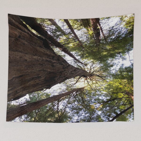 Item preview, Redwood Trees - John Muir Forest -  Sausalito designed and sold by sincerely-olive.