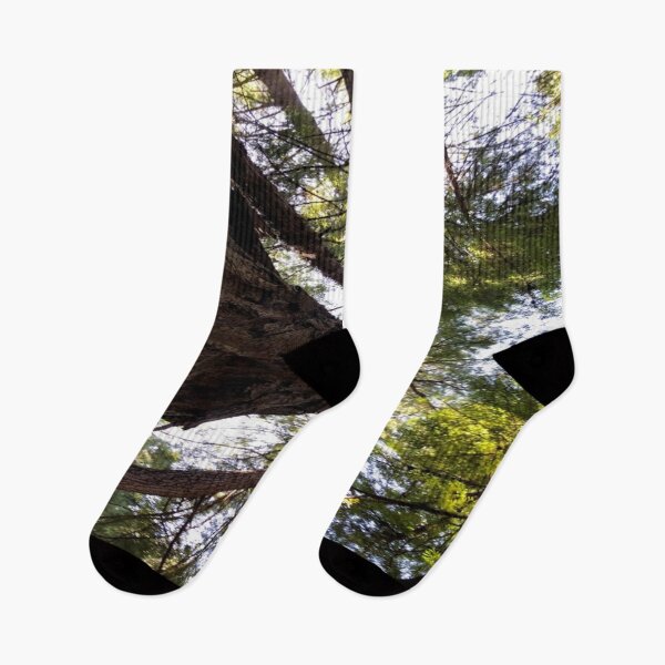 Item preview, Redwood Trees - John Muir Forest -  Sausalito designed and sold by sincerely-olive.