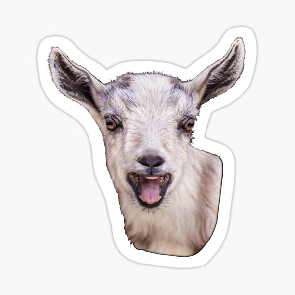 Screaming Goat Sticker