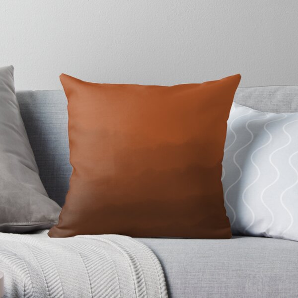 Clay colored throw sales pillows