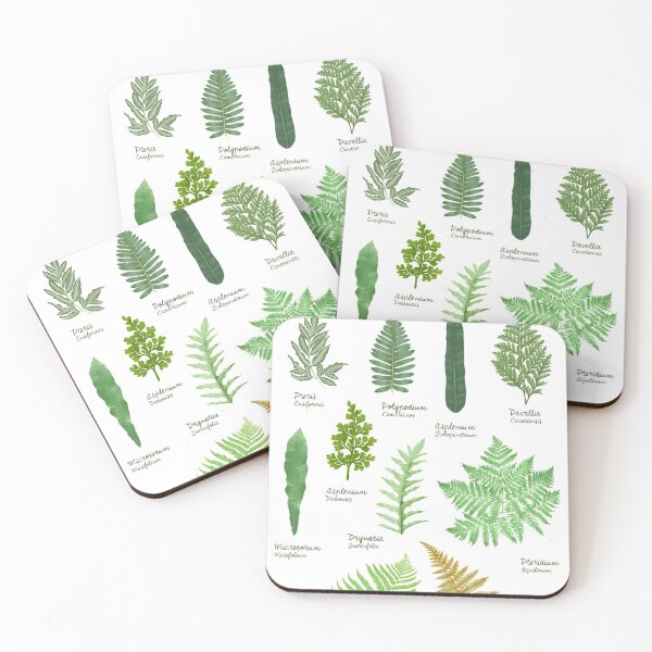 Item preview, Ferns 2 species collection botanical illustration designed and sold by Onyria Art.