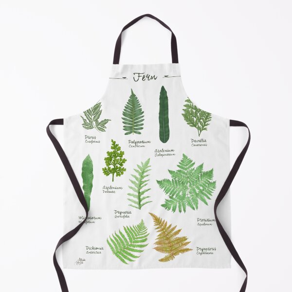 Artikelvorschau, Farne 2 Arten Sammlung botanische Illustration entworfen und verkauft von Onyria Art.