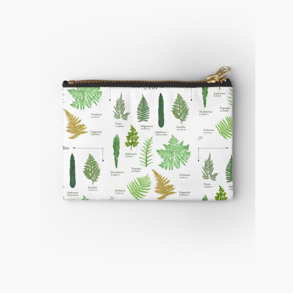 Item preview, Ferns 2 species collection botanical illustration designed and sold by Onyria Art.