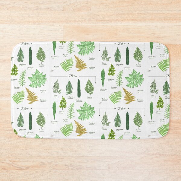 Item preview, Ferns 2 species collection botanical illustration designed and sold by Onyria Art.