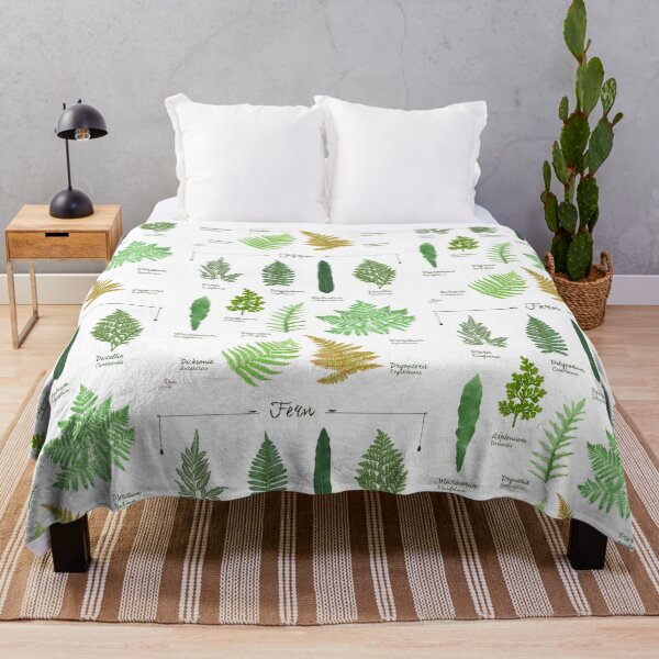 Item preview, Ferns 2 species collection botanical illustration designed and sold by Onyria Art.