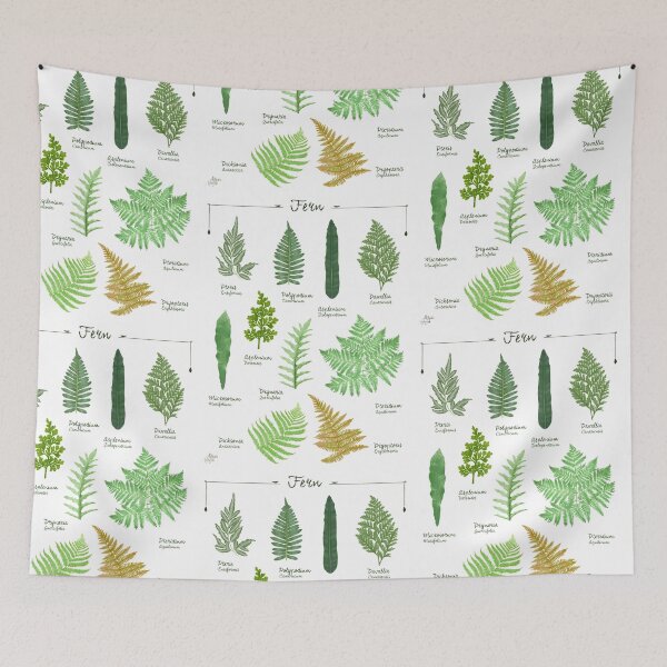 Item preview, Ferns 2 species collection botanical illustration designed and sold by Onyria Art.