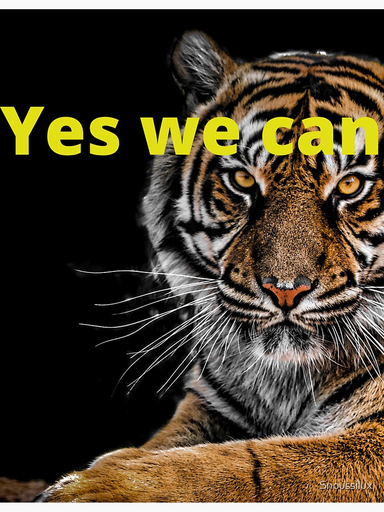 "Tiger yes we can" Sticker for Sale by Snoussilux Redbubble