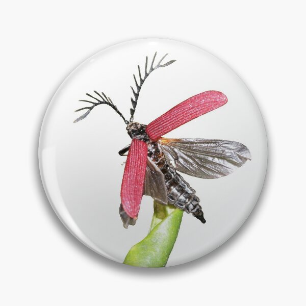 Item preview, Ready, set, take off! designed and sold by kswild.