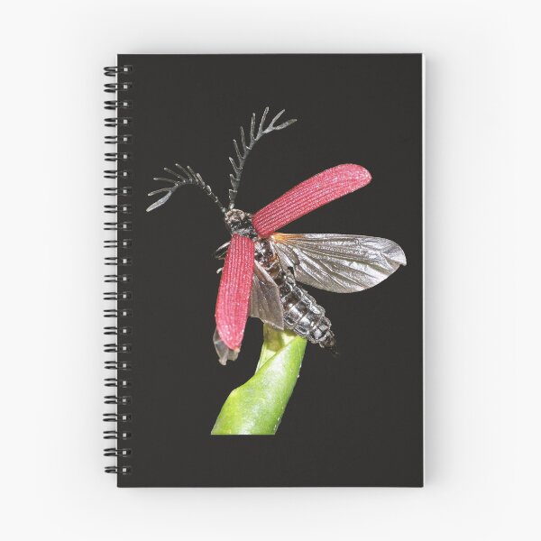 Item preview, Ready, set, take off! designed and sold by kswild.