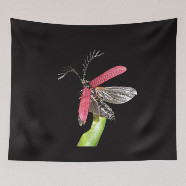 Item preview, Ready, set, take off! designed and sold by kswild.