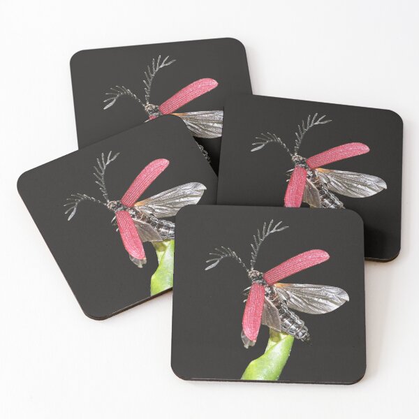 Item preview, Ready, set, take off! designed and sold by kswild.