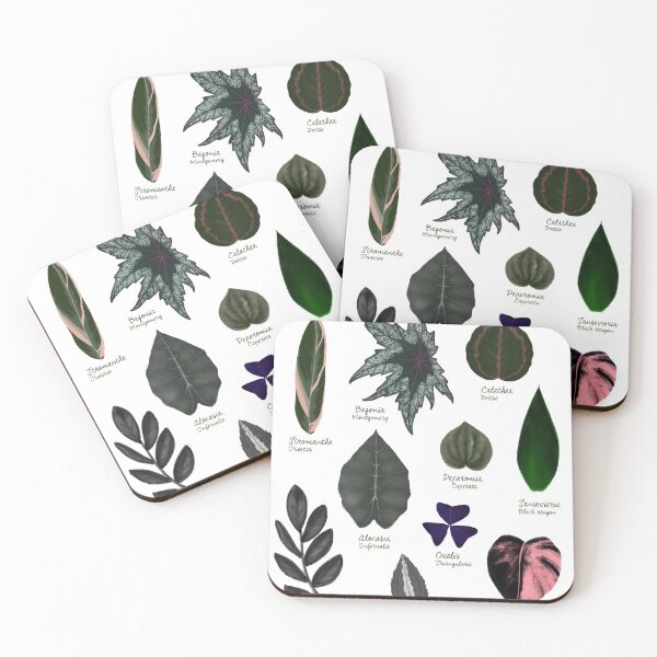 Item preview,  Dark leaves plants species collection botanical illustration designed and sold by Onyria Art.