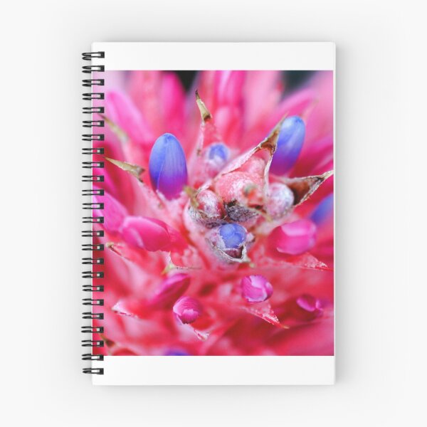 Item preview, Bromeliad designed and sold by Henrik Lehnerer.
