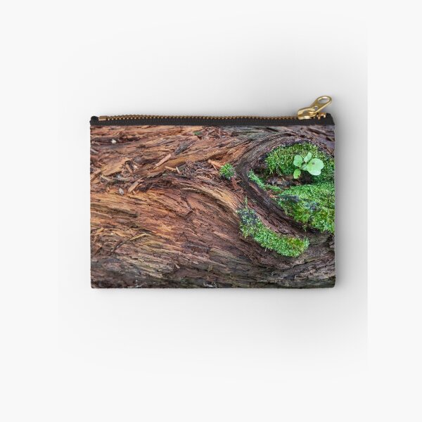Item preview, Life in Death Plants Grow Inside Of Dead Tree designed and sold by AmberCamera.