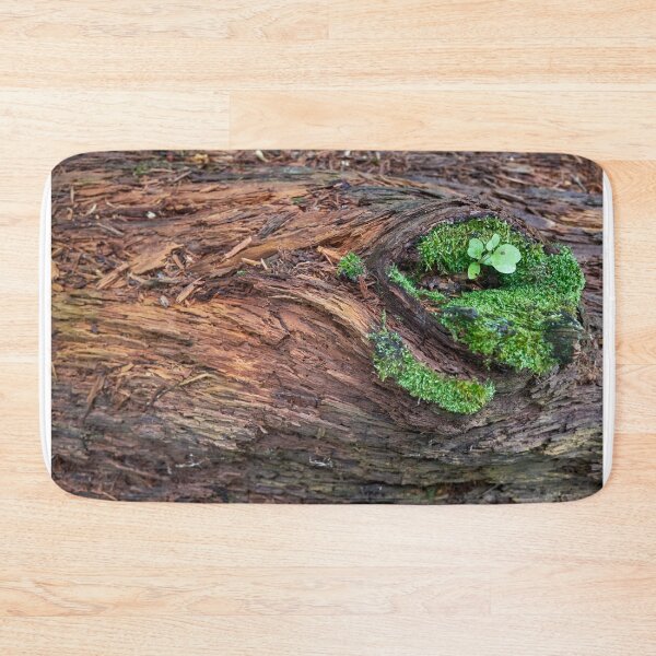 Item preview, Life in Death Plants Grow Inside Of Dead Tree designed and sold by AmberCamera.