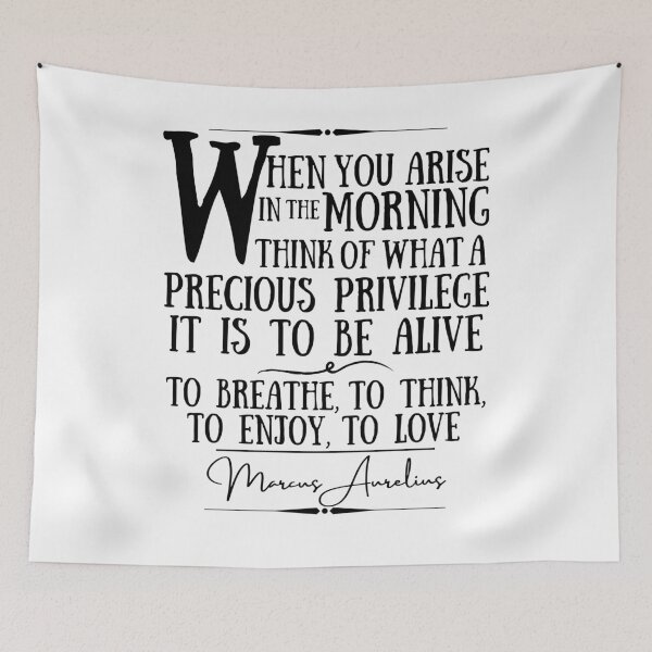 Item preview, Marcus Aurelius Uplifting Historical Quote- “When you arise in the morning, think of what a precious privilege it is to be alive – to breathe, to think, to enjoy, to love.” designed and sold by QuoteActually.