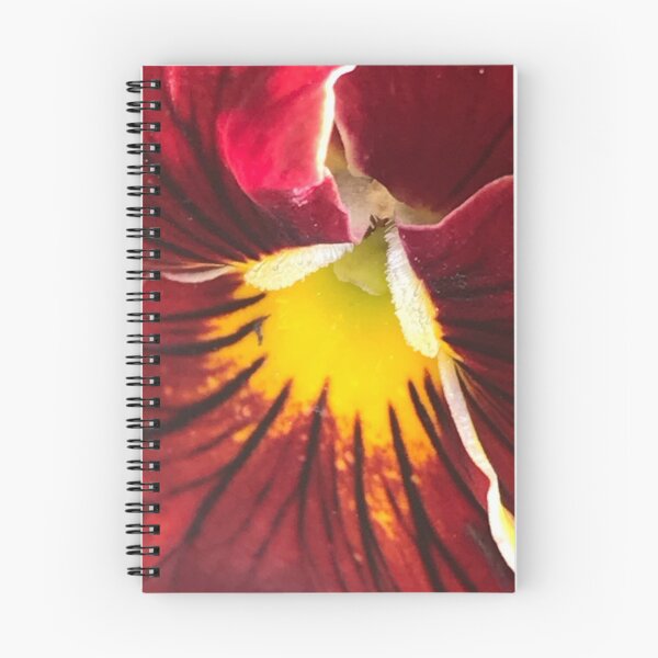Item preview, Floral Sunburst designed and sold by davidivandesign.