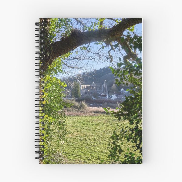 Item preview, Tintern Abbey viewed through the trees designed and sold by VnGphoto.