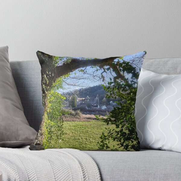 Item preview, Tintern Abbey viewed through the trees designed and sold by VnGphoto.