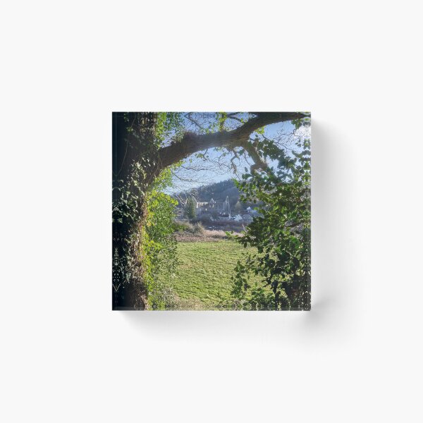 Item preview, Tintern Abbey viewed through the trees designed and sold by VnGphoto.