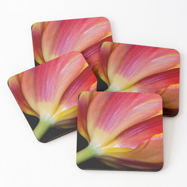 Item preview, Tulip. Tulipa. designed and sold by cloud7.