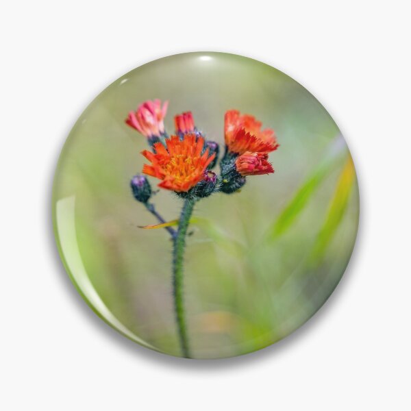 Item preview, Red Wild Flower  designed and sold by Kristvin Gudmundsson.